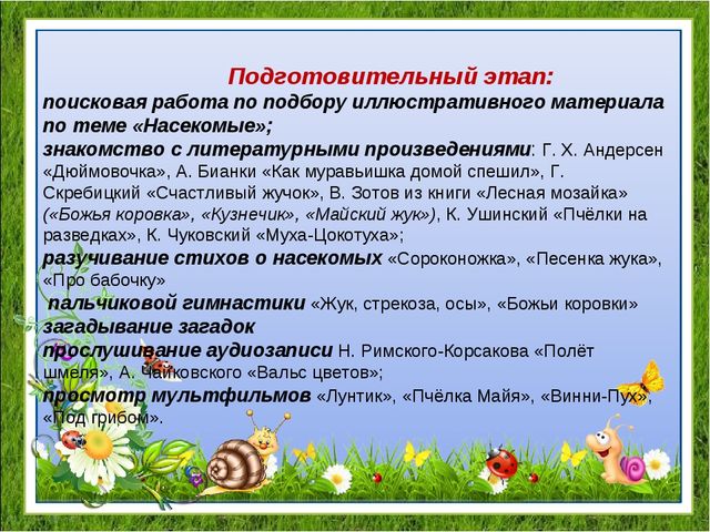 Проект "Удивительный мир насекомых" для детей средней группы