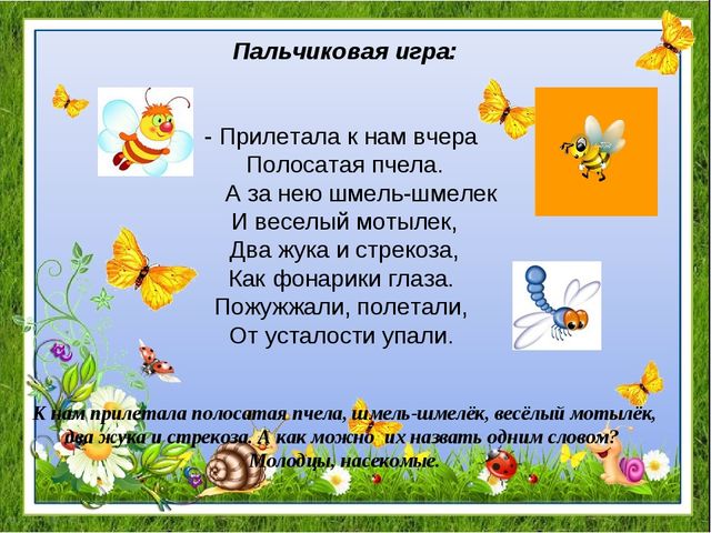 Проект "Удивительный мир насекомых" для детей средней группы