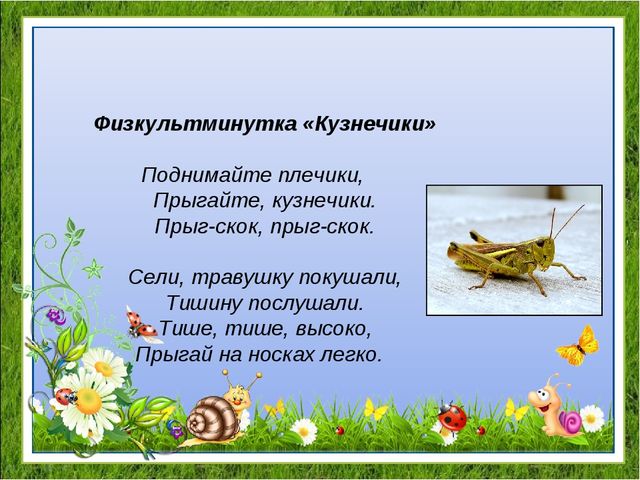 Проект "Удивительный мир насекомых" для детей средней группы