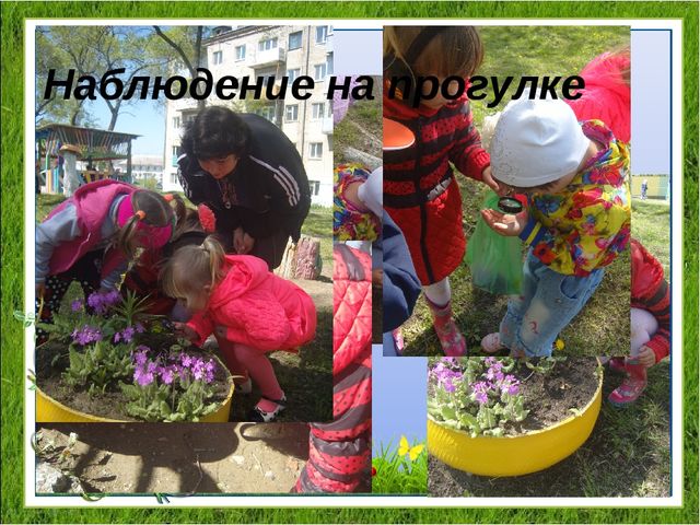 Проект "Удивительный мир насекомых" для детей средней группы