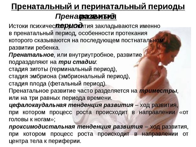 Презентация для специалистов и педагогов дошкольного образования "Психология детства"