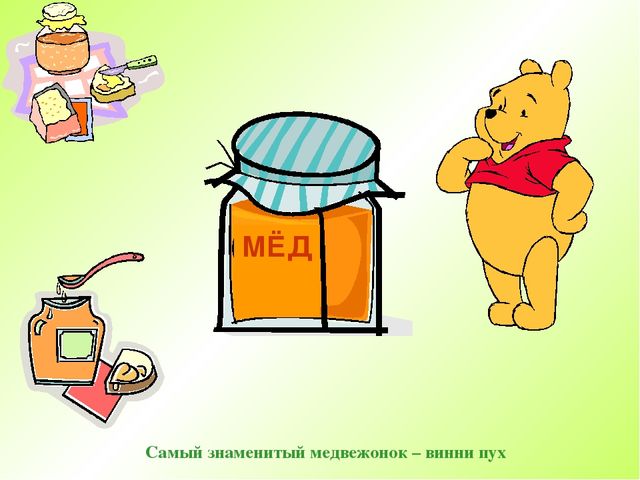 Презентация " Дикие животные "