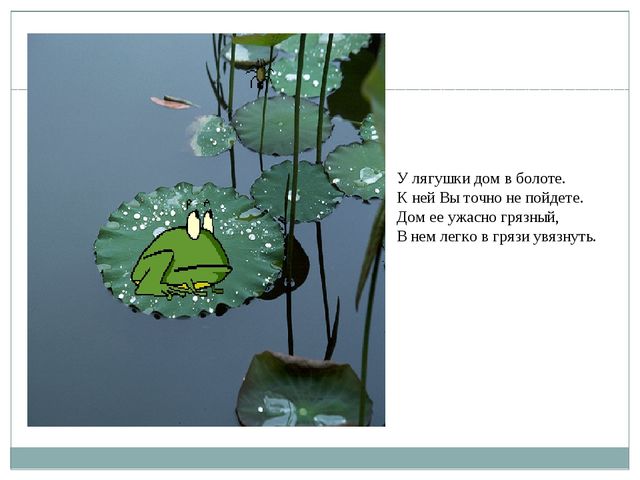 Презентация на тему "Домики зверей - кто, где живет"
