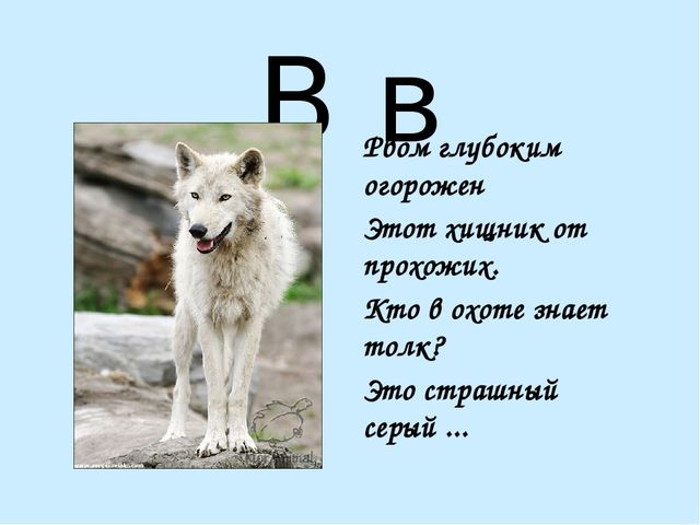 Презентация на тему "Азбука в стихах"
