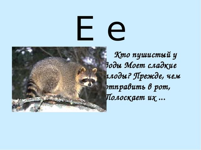 Презентация на тему "Азбука в стихах"