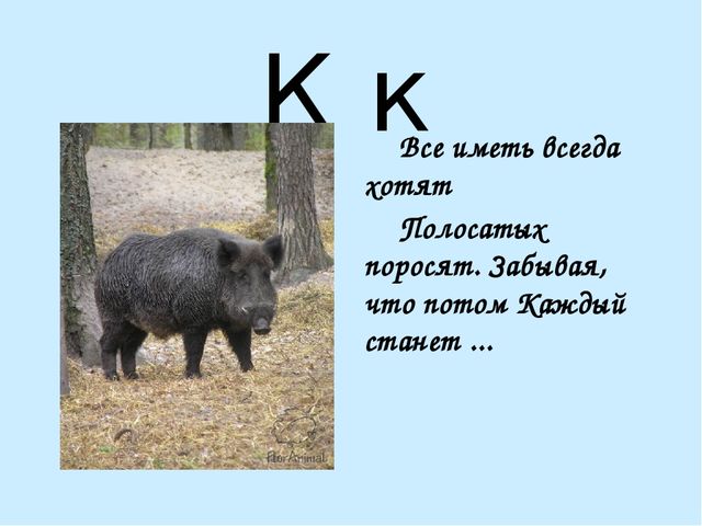Презентация на тему "Азбука в стихах"