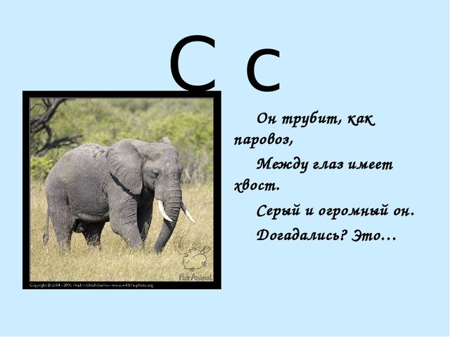 Презентация на тему "Азбука в стихах"