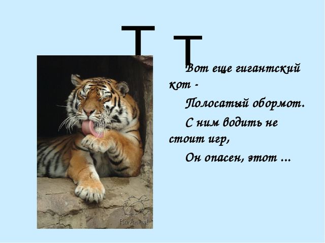 Презентация на тему "Азбука в стихах"