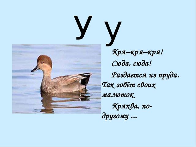 Презентация на тему "Азбука в стихах"