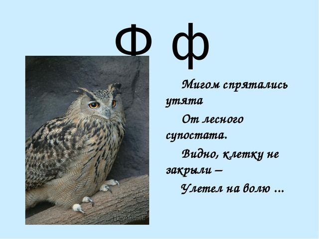 Презентация на тему "Азбука в стихах"