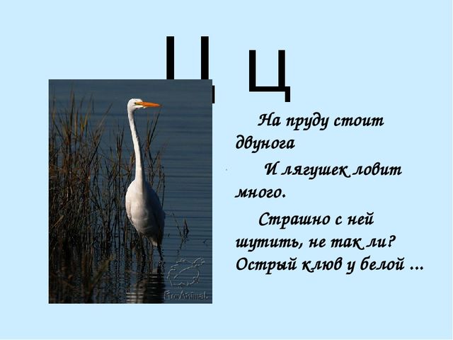 Презентация на тему "Азбука в стихах"