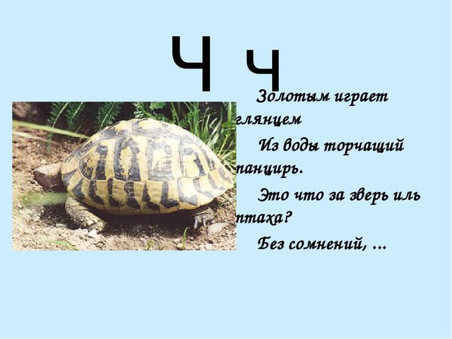 Презентация на тему "Азбука в стихах"