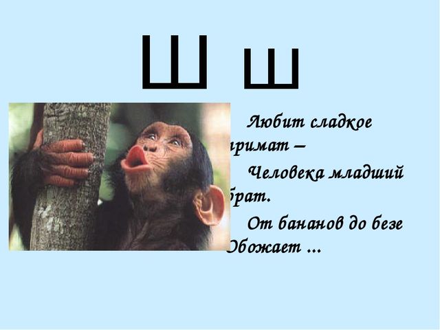 Презентация на тему "Азбука в стихах"