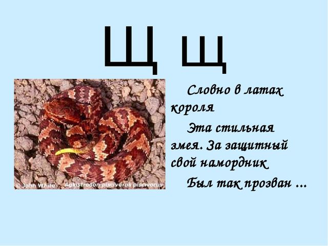 Презентация на тему "Азбука в стихах"