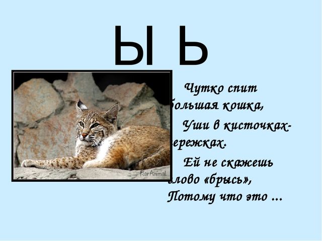 Презентация на тему "Азбука в стихах"