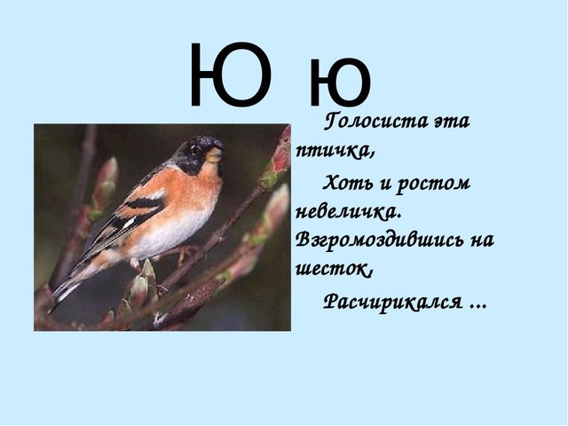Презентация на тему "Азбука в стихах"