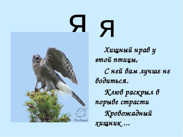 Презентация на тему "Азбука в стихах"