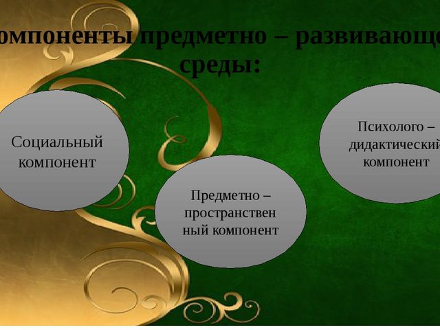 «Проектирование предметно – развивающей среды дошкольной организации, как один из аспектов подготовки детей к школе».