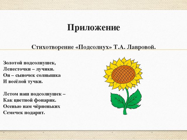 Презентация конспекта в подготовительной к школе группе "Солнечный цветок".(Образовательная область "познавательное развитие).