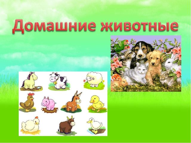 Презентация: На тему" Домашние животные" для 1 младшей