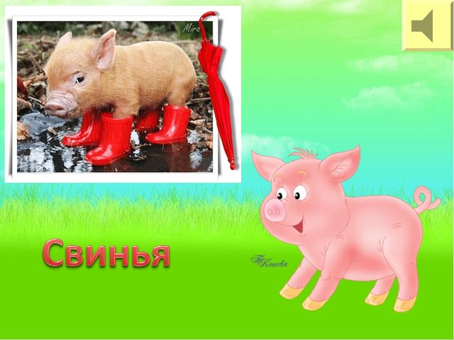 Презентация: На тему" Домашние животные" для 1 младшей