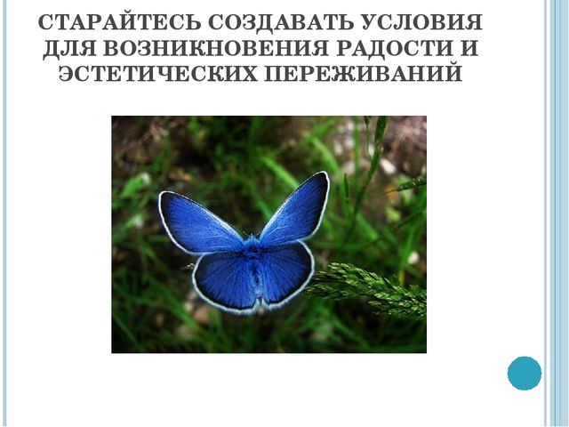 Презентация на тему "Эстетика" (высшая школа)
