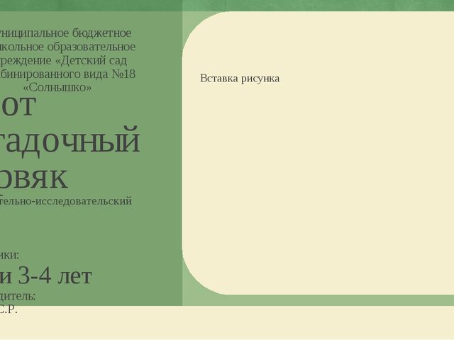 Презентация по экологическому воспитанию дошкольников "Этот загадочный червяк"