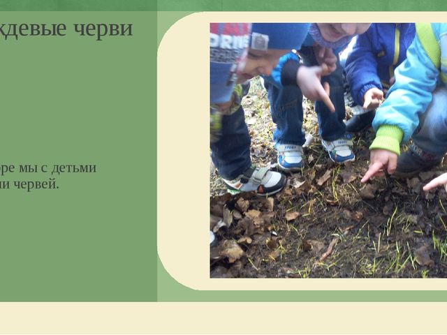 Презентация по экологическому воспитанию дошкольников "Этот загадочный червяк"