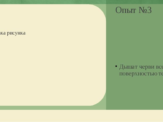 Презентация по экологическому воспитанию дошкольников "Этот загадочный червяк"