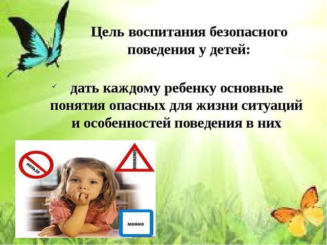 Презентация на тему «Организация работы с детьми в ДОУ по формированию основ безопасности в быту, природе, социуме»