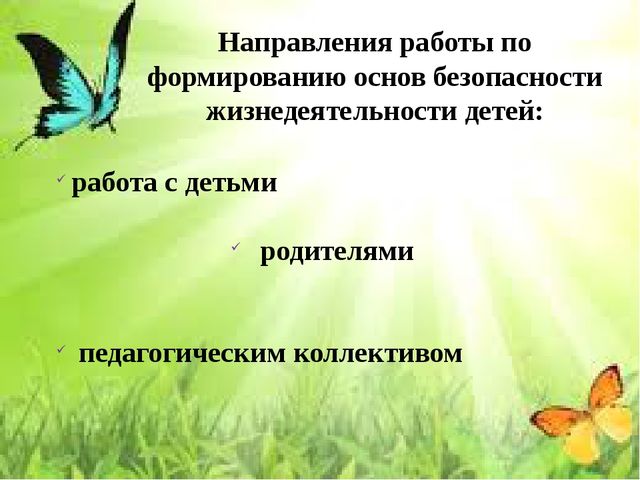Презентация на тему «Организация работы с детьми в ДОУ по формированию основ безопасности в быту, природе, социуме»