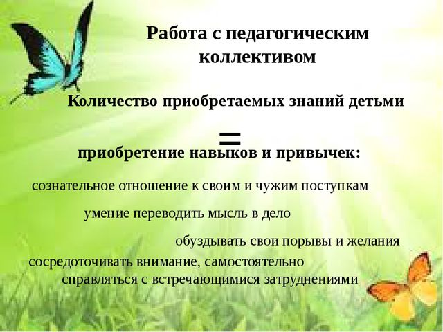 Презентация на тему «Организация работы с детьми в ДОУ по формированию основ безопасности в быту, природе, социуме»