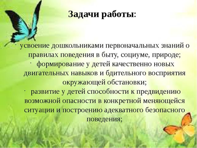 Презентация на тему «Организация работы с детьми в ДОУ по формированию основ безопасности в быту, природе, социуме»