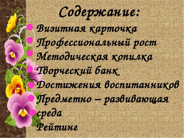 Электронное партфолио "Моя работа - моя жизнь"