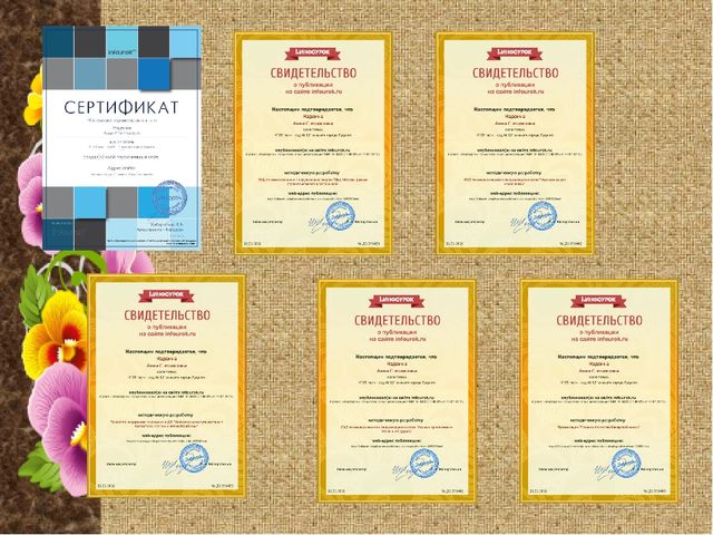 Электронное партфолио "Моя работа - моя жизнь"