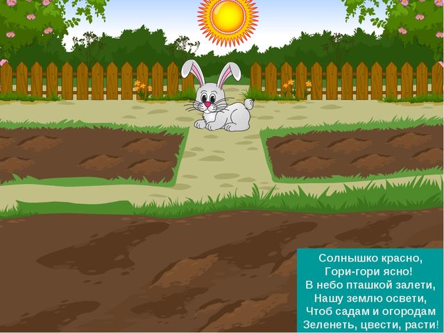 ПРЕЗЕНТАЦИЯ К ООД ДЛЯ ДЕТЕЙ СРЕДНЕЙ ГРУППЫ "ЗАИНЬКА-ОГОРОДНИК"