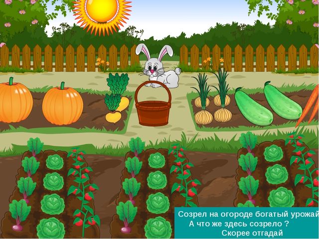 ПРЕЗЕНТАЦИЯ К ООД ДЛЯ ДЕТЕЙ СРЕДНЕЙ ГРУППЫ "ЗАИНЬКА-ОГОРОДНИК"