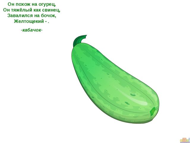 ПРЕЗЕНТАЦИЯ К ООД ДЛЯ ДЕТЕЙ СРЕДНЕЙ ГРУППЫ "ЗАИНЬКА-ОГОРОДНИК"