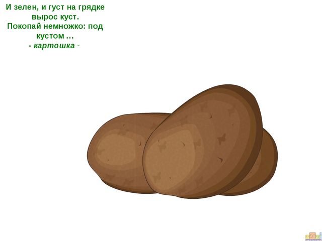ПРЕЗЕНТАЦИЯ К ООД ДЛЯ ДЕТЕЙ СРЕДНЕЙ ГРУППЫ "ЗАИНЬКА-ОГОРОДНИК"