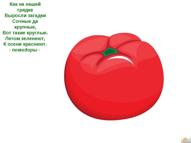 ПРЕЗЕНТАЦИЯ К ООД ДЛЯ ДЕТЕЙ СРЕДНЕЙ ГРУППЫ "ЗАИНЬКА-ОГОРОДНИК"