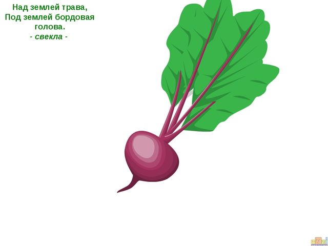 ПРЕЗЕНТАЦИЯ К ООД ДЛЯ ДЕТЕЙ СРЕДНЕЙ ГРУППЫ "ЗАИНЬКА-ОГОРОДНИК"