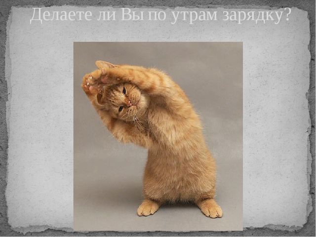 Презентация к педсовету "Здоровье в наших руках"
