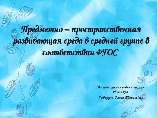 Презентация "Предметно Развивающая Среда" средняя группа