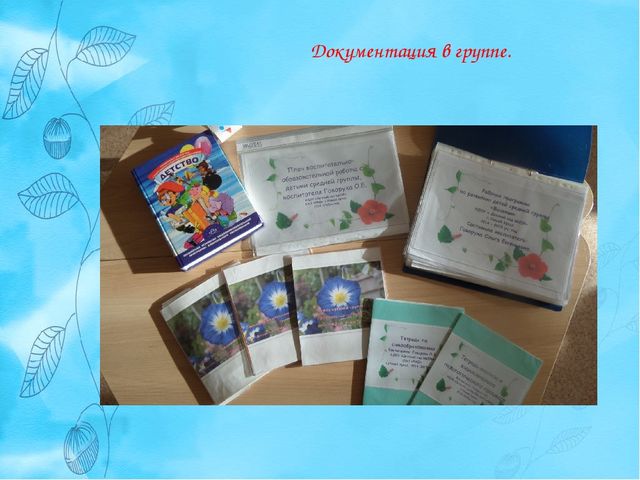 Презентация "Предметно Развивающая Среда" средняя группа