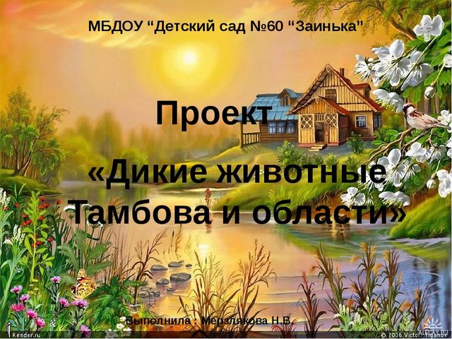 Презентация на тему "Дикие животные Тамбова и области"
