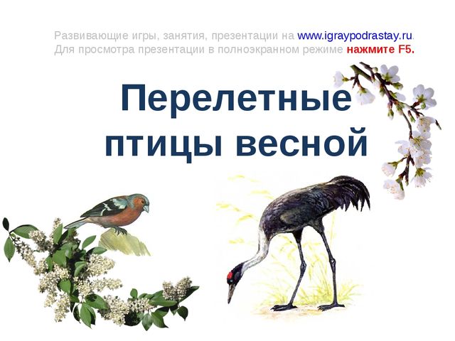Презентация "Перелетные птицы весной"