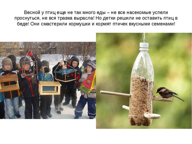 Презентация "Перелетные птицы весной"