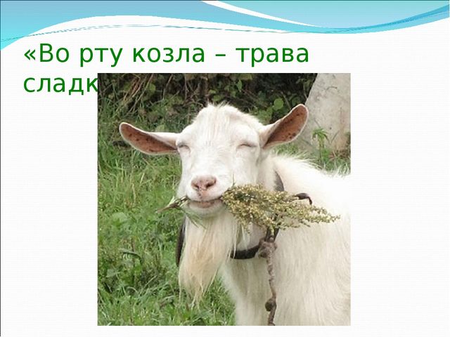 Презентация "Инновационные технологии в ДОУ"