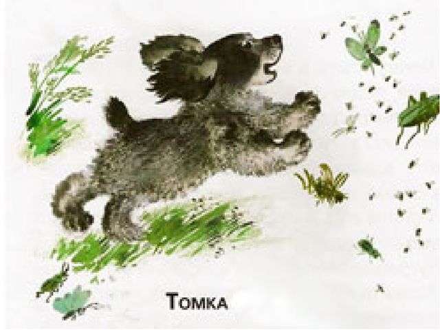Презентация на тему: "Художники-иллюстраторы детских книг. Кто они авторы самых любимых картинок?"