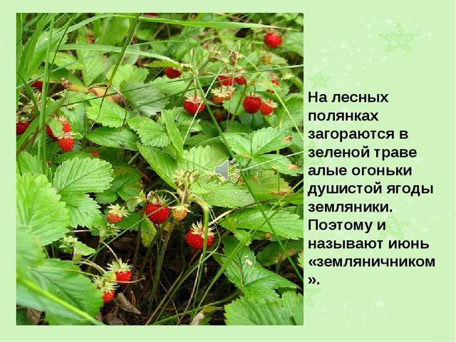 Презентация на тему "Лето"